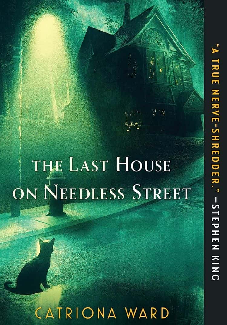 The Last House on Needless Street